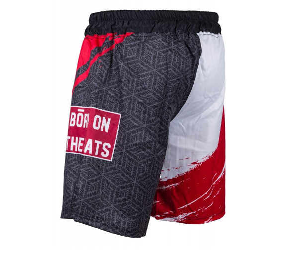 OKAMI Fight Shorts Cube