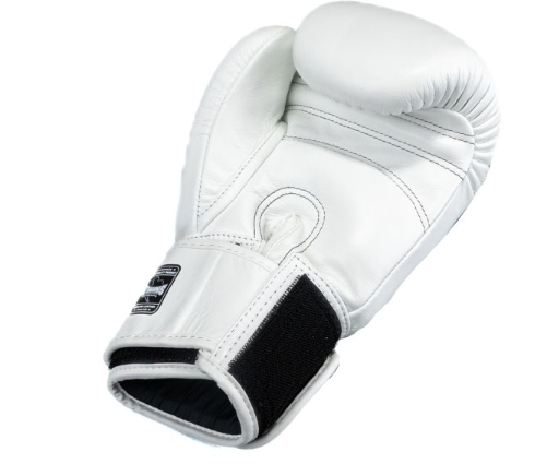 Twins Boxhandschiuhe BG-N V2 White