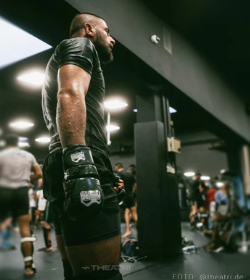 MMA Sparring Handschuhe Camo Tiger