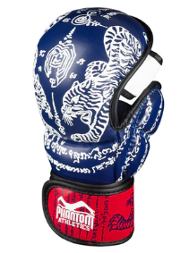 Sparring Handschuhe Muay Thai - Blau