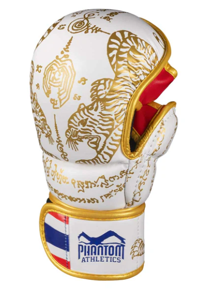 Sparring Handschuhe Muay Thai - Limited Edition