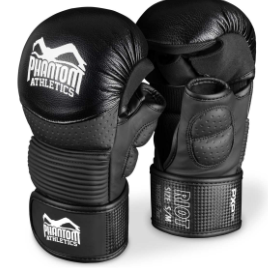 MMA Sparring Handschuhe RIOT Pro