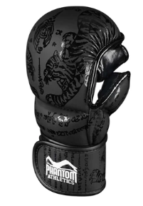 Sparring Handschuhe Muay Thai