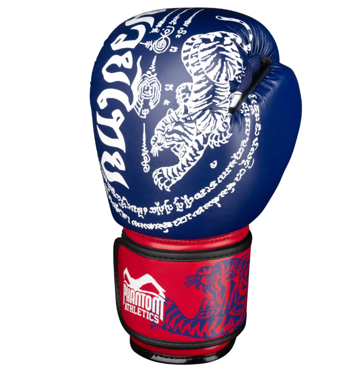 Boxhandschuhe Muay Thai - Blau