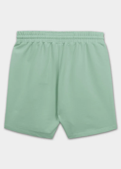 Herren Sweatshorts SMALL LOGO NUGGET - Mint