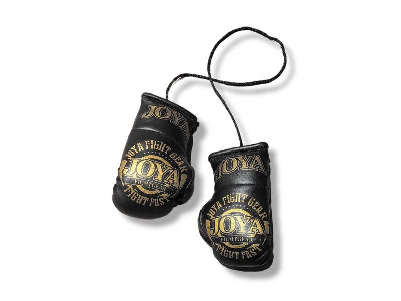 JOYA FIGHT FAST CAR HANGER - BLACK/GOLD