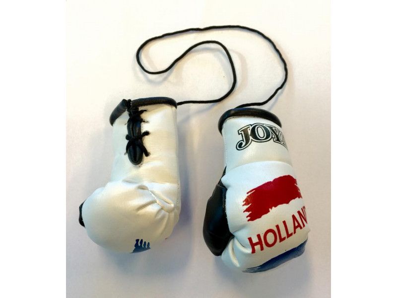 JOYA CAR HANGER HOLLAND