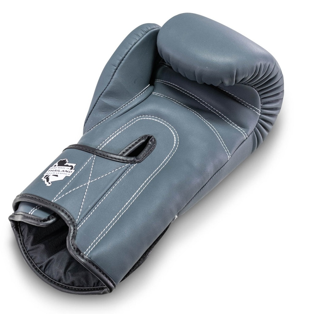 PRO BGL VX 2 BFG BOXING GLOVES