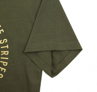 adidas Community T-Shirt BOXING green/gold