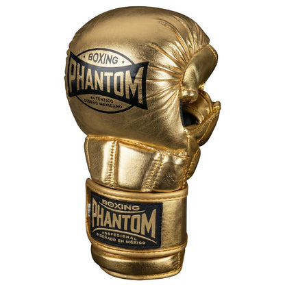 MMA Sparring Handschuhe MEXICO - Gold