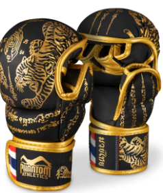 Sparring Handschuhe Muay Thai - Schwarz/Gold