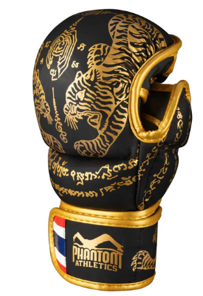 Sparring Handschuhe Muay Thai - Schwarz/Gold