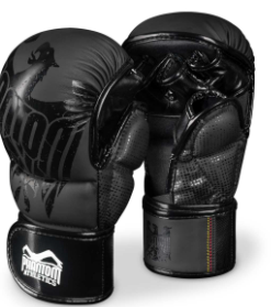 MMA Sparring Handschuhe German Eagle