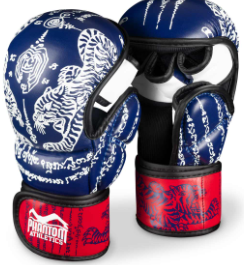 Sparring Handschuhe Muay Thai - Blau