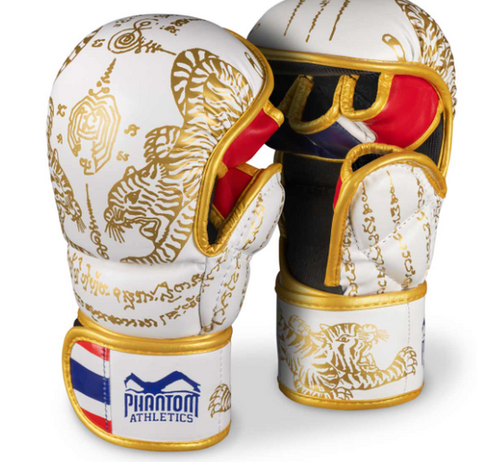 Sparring Handschuhe Muay Thai - Limited Edition