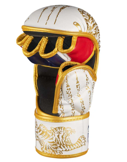 Sparring Handschuhe Muay Thai - Limited Edition