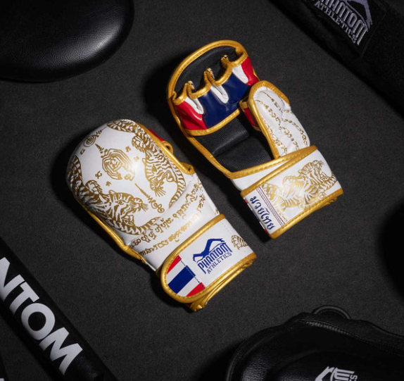 Sparring Handschuhe Muay Thai - Limited Edition