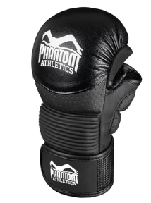 MMA Sparring Handschuhe RIOT Pro