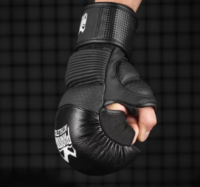 MMA Sparring Handschuhe RIOT Pro