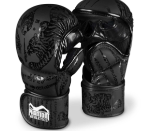 Sparring Handschuhe Muay Thai
