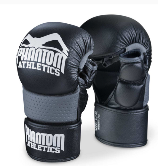 MMA Handschuhe Riot