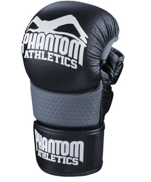 MMA Handschuhe Riot
