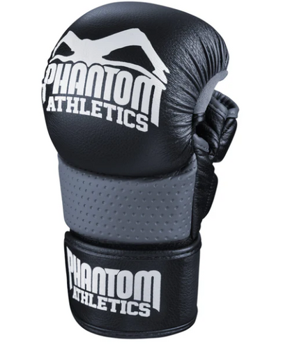MMA Handschuhe Riot