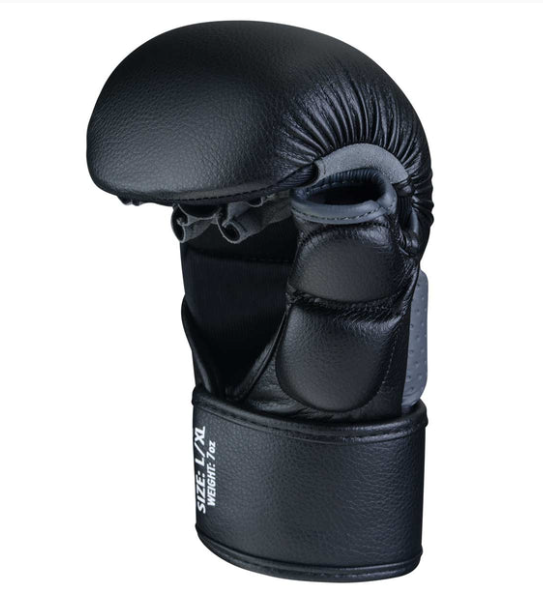 MMA Handschuhe Riot