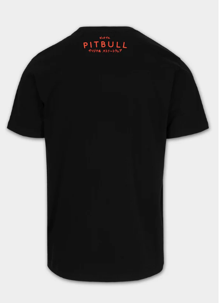Herren T-Shirt FUJI - Schwarz