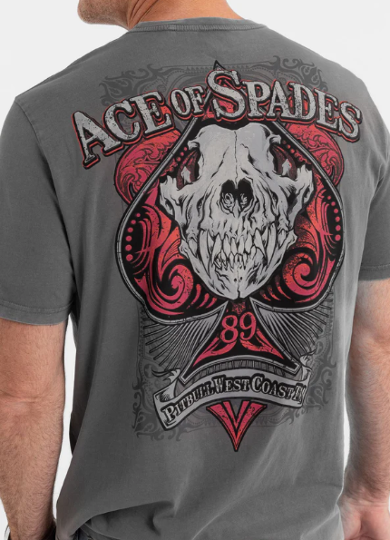 Herren T-Shirt Denim Washed ACE OF SPADES II - Grau