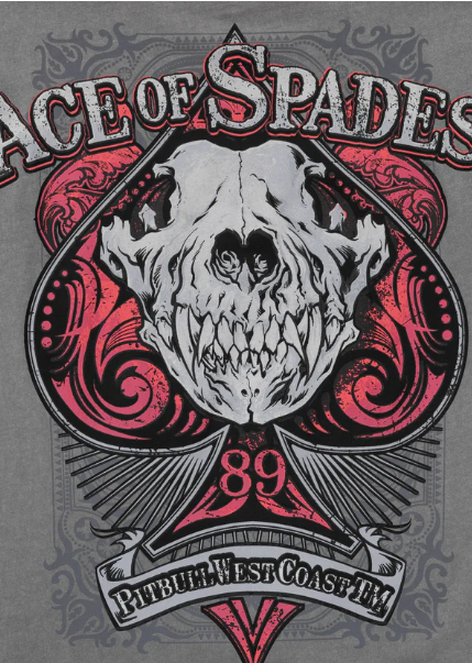 Herren T-Shirt Denim Washed ACE OF SPADES II - Grau