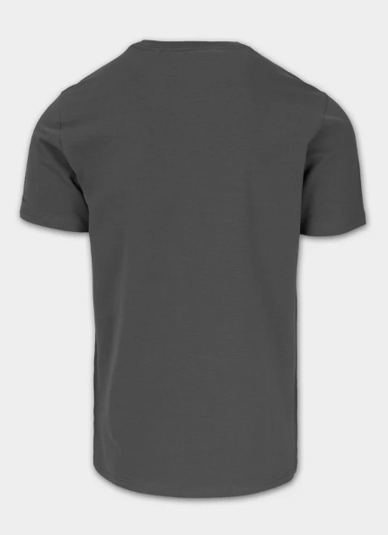 Herren T-Shirt Slim Fit MINIMAL - Graphit