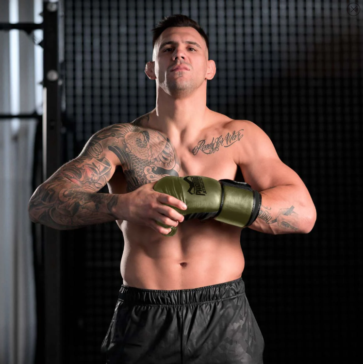 Boxhandschuhe Elite ATF - Army