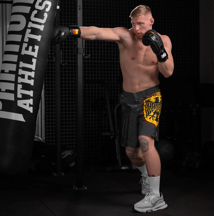 Boxhandschuhe Germany