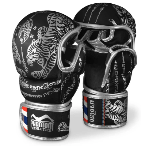 Sparring Handschuhe Muay Thai - Limited Silver Edition