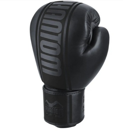 Boxhandschuhe MT-Pro - Blackout Edition