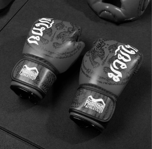 Boxhandschuhe Muay Thai - Grau