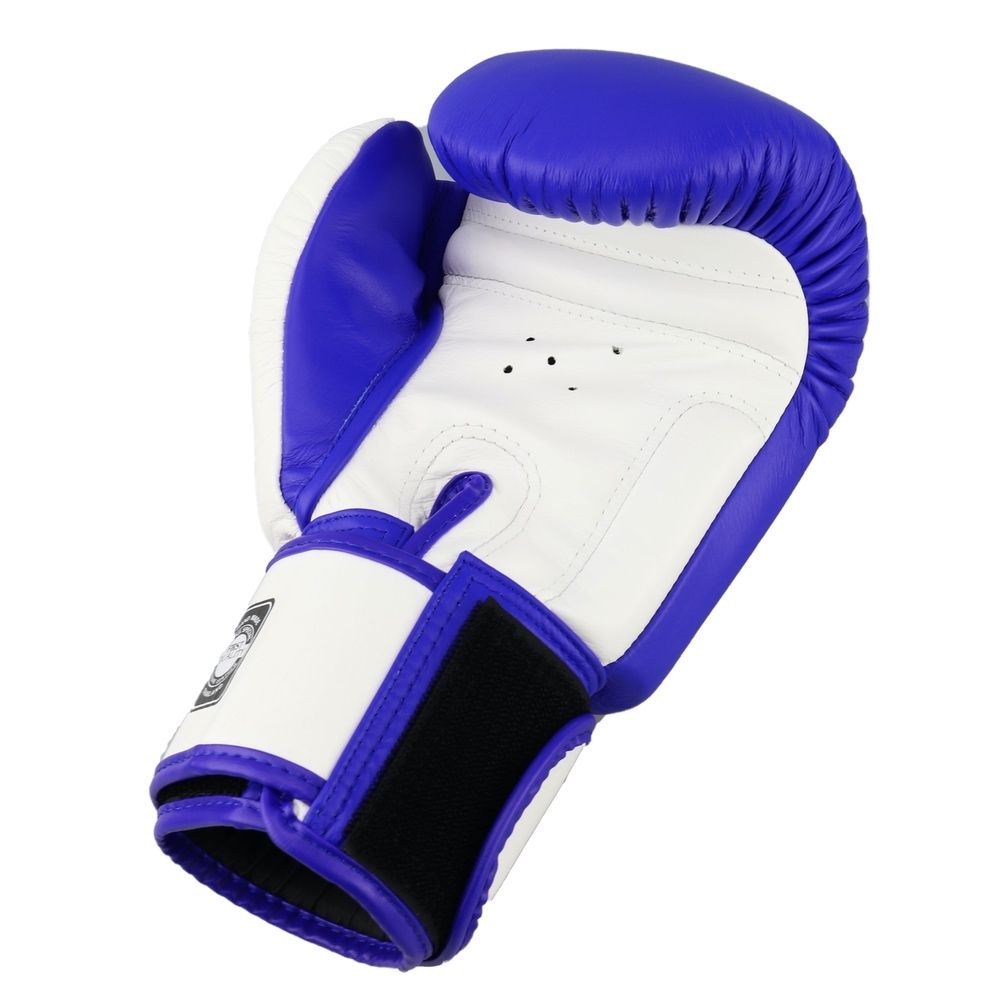 Twins Special Boxhandschuhe BGVL 3 Blau/Weiß