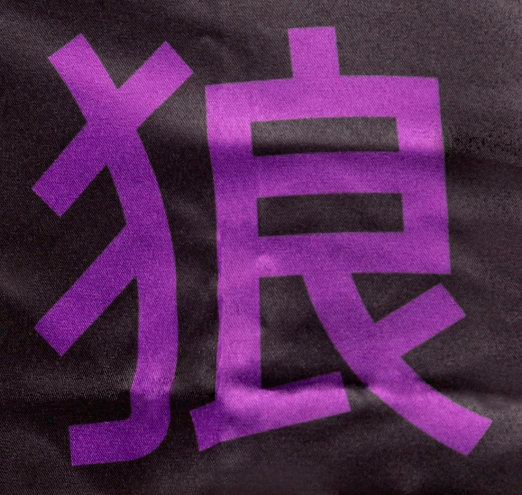 OKAMI Fight Shorts Competition Team Purple