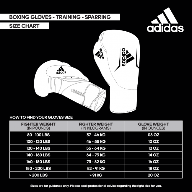 adidas Hybrid 350 Duo Lace black/white