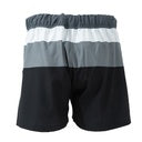 Battle hybrid trunk 1