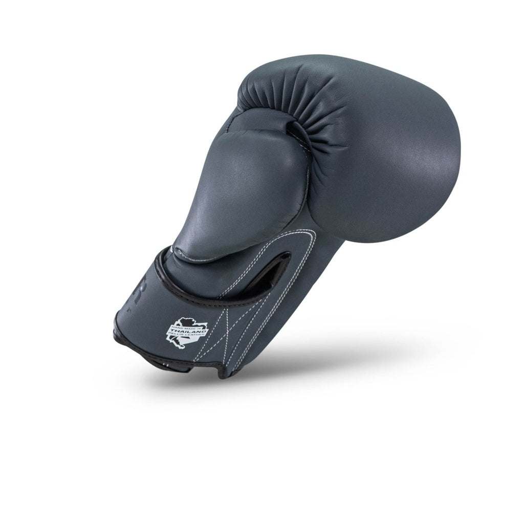 PRO BGL VX 2 BFG BOXING GLOVES