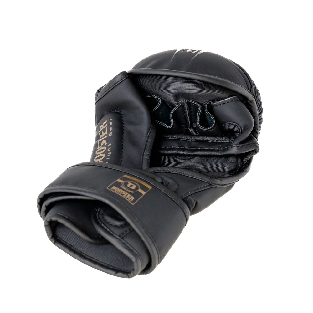 BFG MMA BANGKOK 1