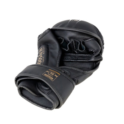 BFG MMA BANGKOK 1