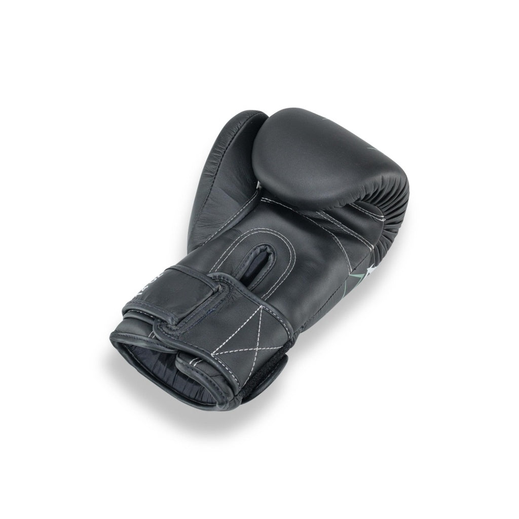 PRO BGL V10 BK/GY