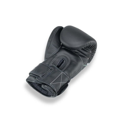 PRO BGL V10 BK/GY