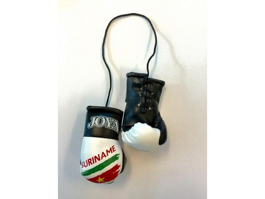 JOYA CAR HANGER SURINAM