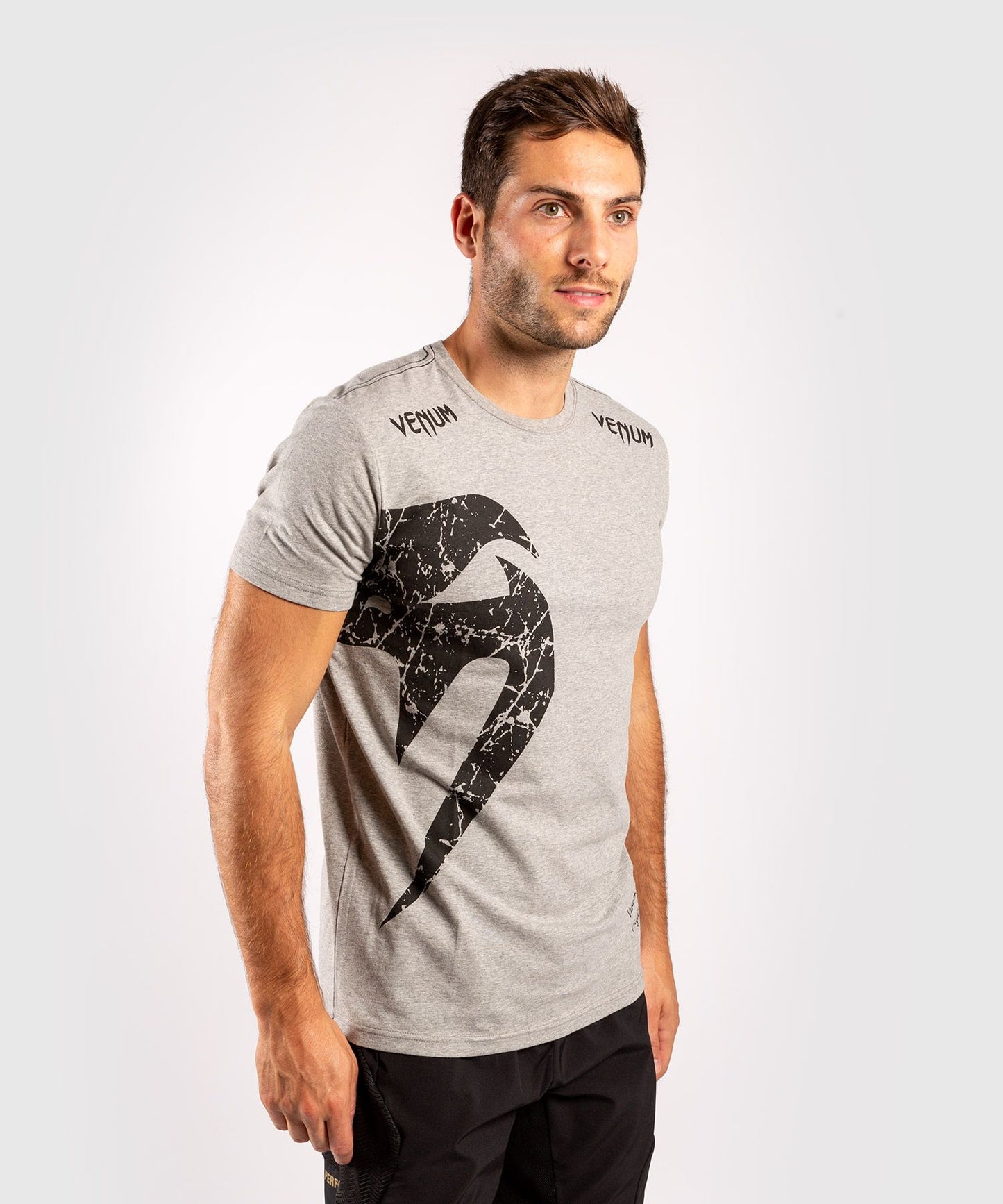 Venum Giant T-Shirt Grau/Schwarz