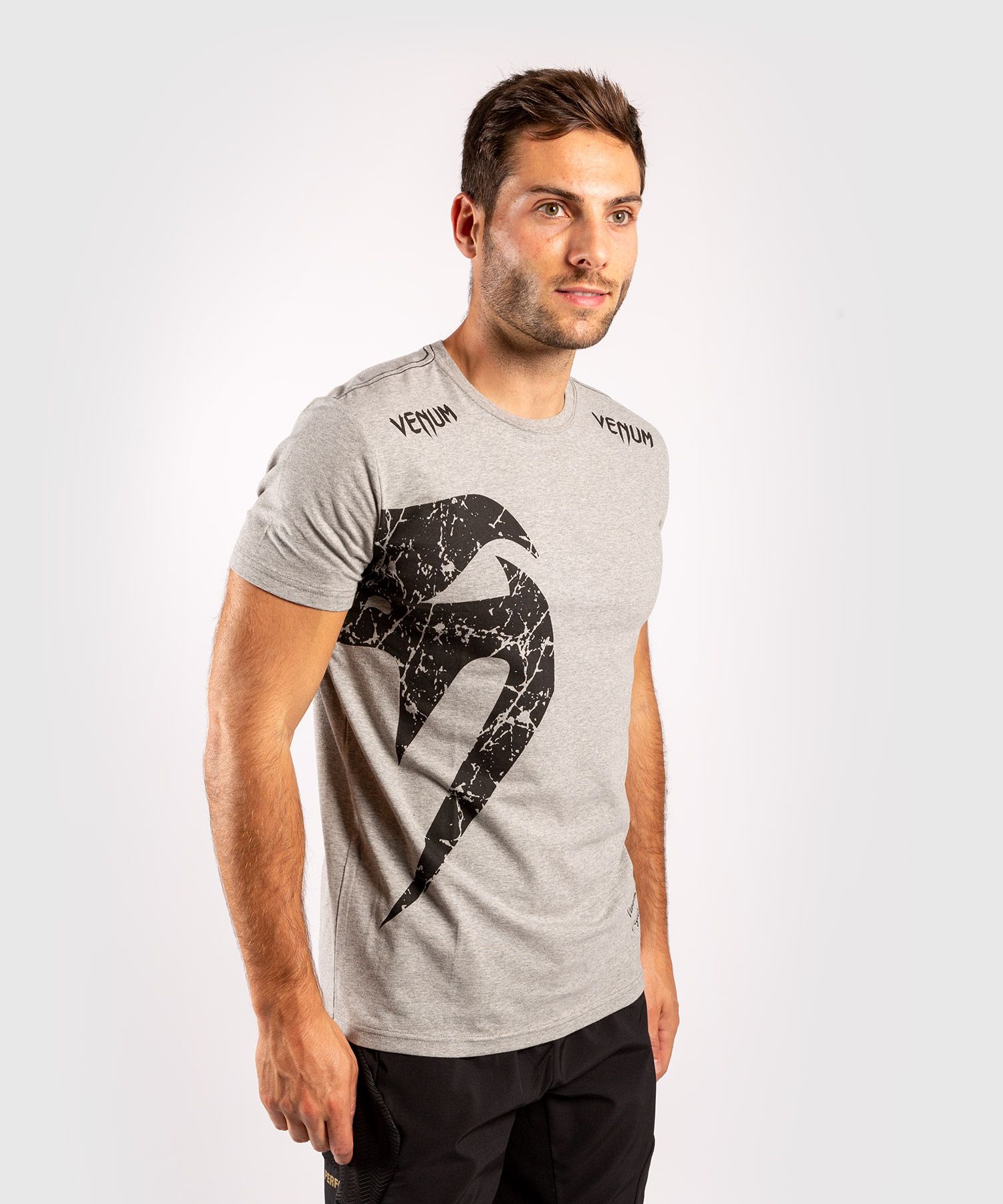 Venum Giant T-Shirt Grau/Schwarz