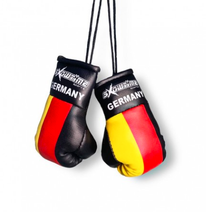 Joya Mini Boxhandschuhe Autospiegel Deutschland - FIGHTWEAR SHOP